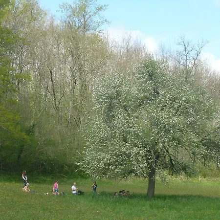 فندق مبيت وإفطار Sun D'hotes 3*