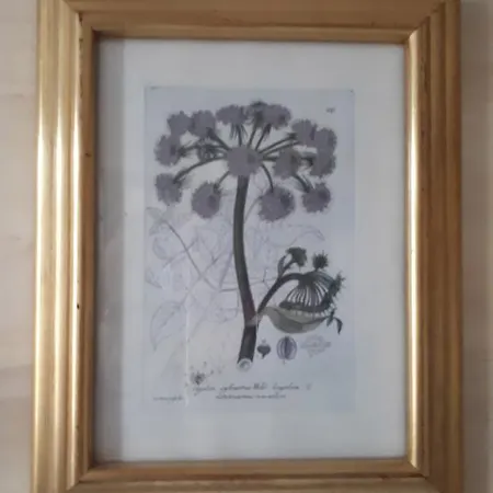 فندق مبيت وإفطار Sun D'hotes