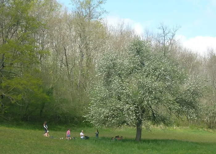 Frühstückspension Sun D'hotes 3*