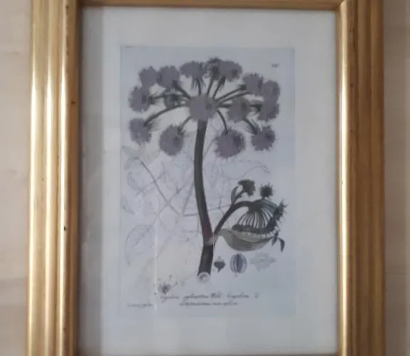 Frühstückspension Sun D'hotes