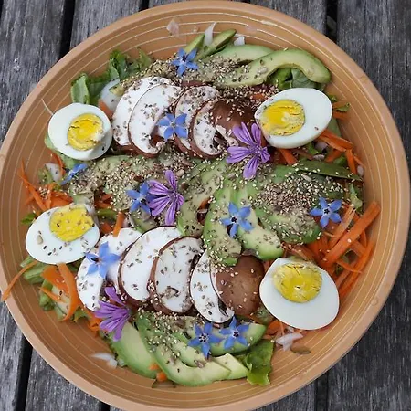 Sun D'hotes Rabastens